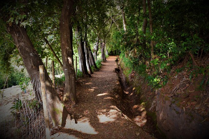 Paradise Valley Beauty Walk - A Guide-Led Walk That Talks Plants and Local Life
