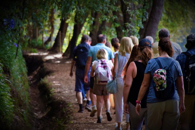 Paradise Valley Beauty Walk - Pickup, Mobile Tickets, and Small Group Comfort in Funchal