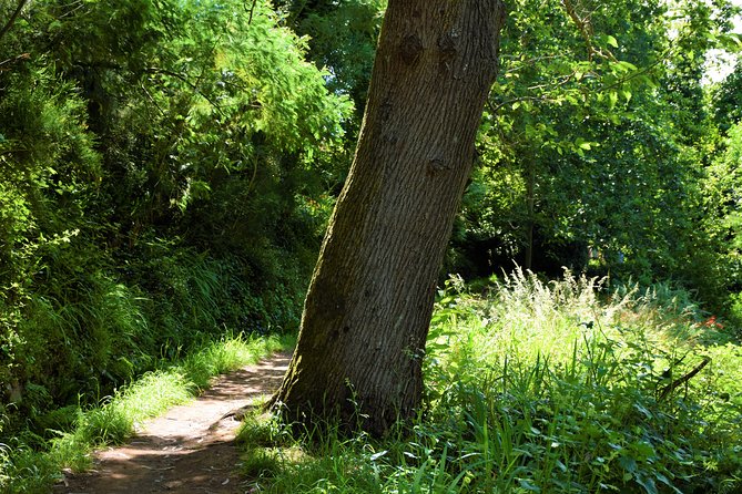 Paradise Valley Beauty Walk - Weather Requirements: Plan for a Flexible Morning