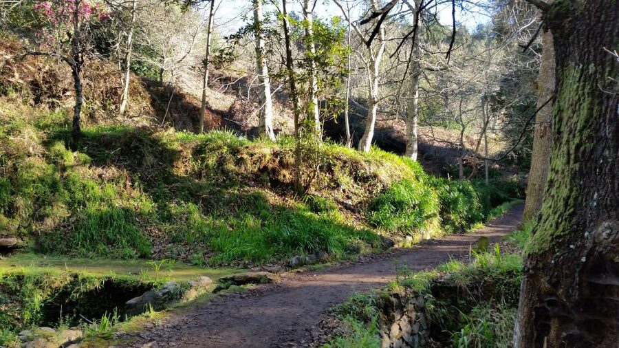 Paradise Valley half-day morning walk. - Key things I’d highlight before you book