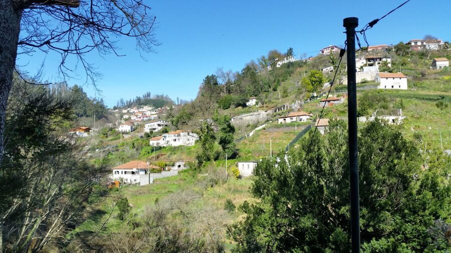 Paradise Valley half-day morning walk. - Paradise Valley in Madeira, a short hike with a big “how it works” focus