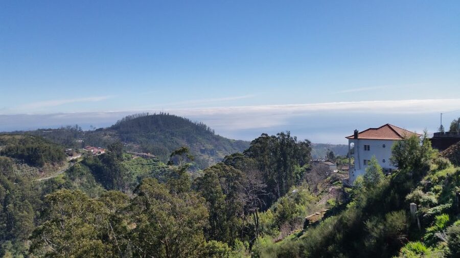 Paradise Valley half-day morning walk. - Camacha Village viewpoints: traditional culture seen from the valley