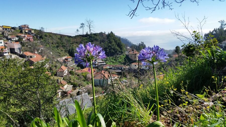 Paradise Valley half-day morning walk. - Getting to the trail: what pickup from Funchal and nearby areas really means