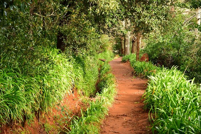 Paradise Valley Madeira Island Walk - Key highlights to know before you go