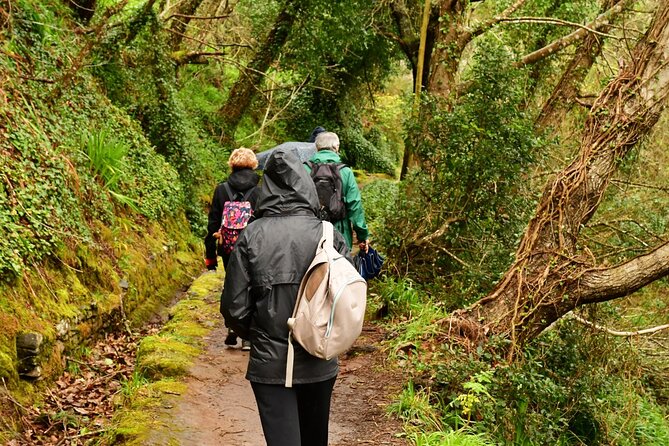 Paradise Valley Madeira Island Walk - A Gentle Levada Route from Serra do Faial to Vale Paraíso and Rochão