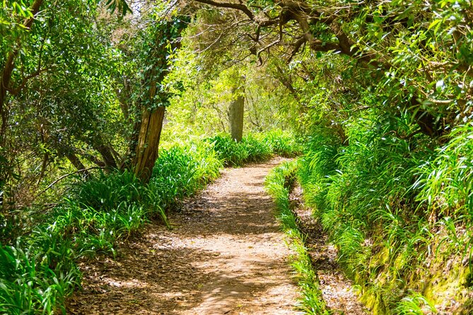 Paradise Valley Madeira Island Walk - Walking Along the Levada: What You Do for 3.5 Hours