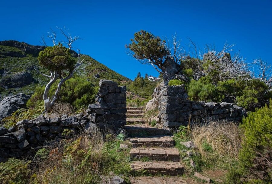 Pico Areeiro to Pico Ruivo Madeira Island Walk - The guided hike at Pico do Arieiro: tunnels, steep sections, and endemic plant life
