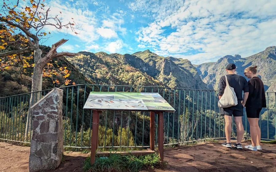 Pico do Arieiro in 4h: Immersive Private Experience (Cabrio) - Camacha and Funchal Ecological Park to Pico: how the route stays varied