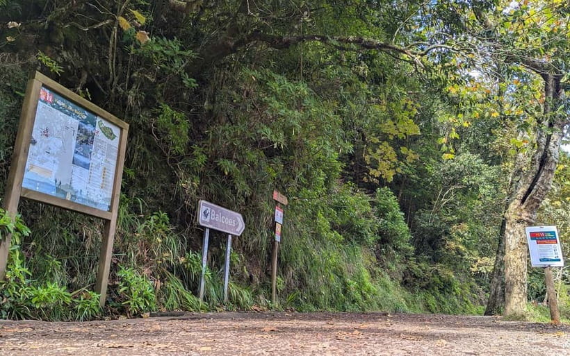 Pico do Arieiro in 4h: Immersive Private Experience (Cabrio) - Picking up in Funchal, Caniço, or Câmara de Lobos, and what to expect on the road