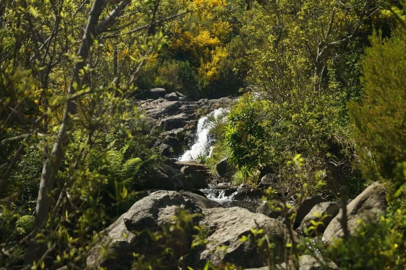 Pico do Arieiro - Stairway to Heaven Hike - Sunrise Option - Forest fee and the 3€ IFCN ticket, don’t let it surprise you
