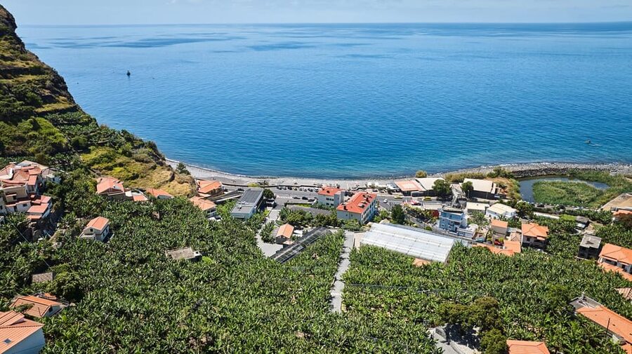 Ponta Do Sol : Madeira Banana Museum guided tour - Key things to know before you go