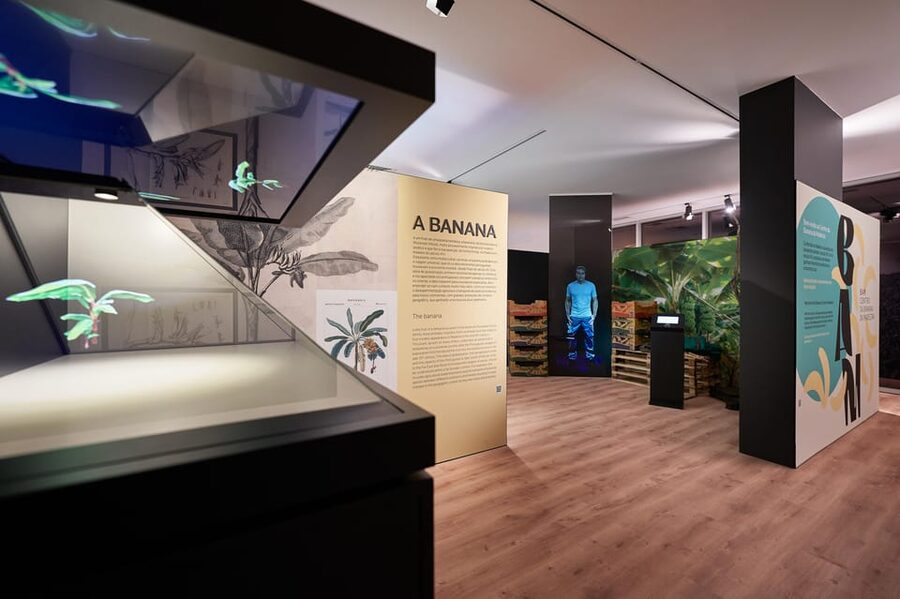 Ponta Do Sol : Madeira Banana Museum guided tour - Inside the Madeira Banana Museum, art that explains banana life