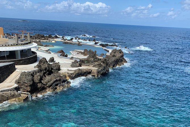 Porto Moniz Lava Pools, Fanal Forest and Skywalk 4x4 Experience - Vereda do Fanal: centenary trees and the Laurissilva forest atmosphere