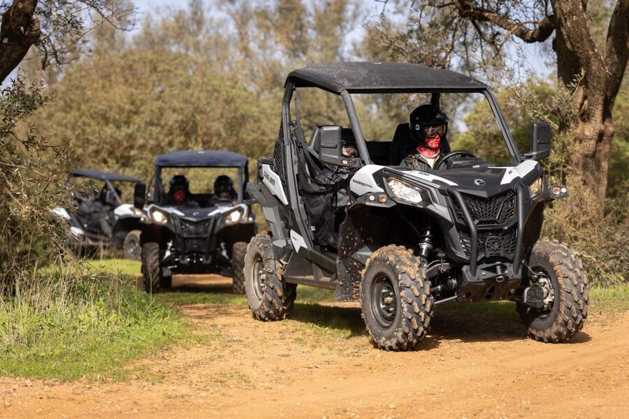 Porto Santo: 180 Minutes Off-Road Buggy Tour - Should you book the Porto Santo 180-minute off-road buggy tour?