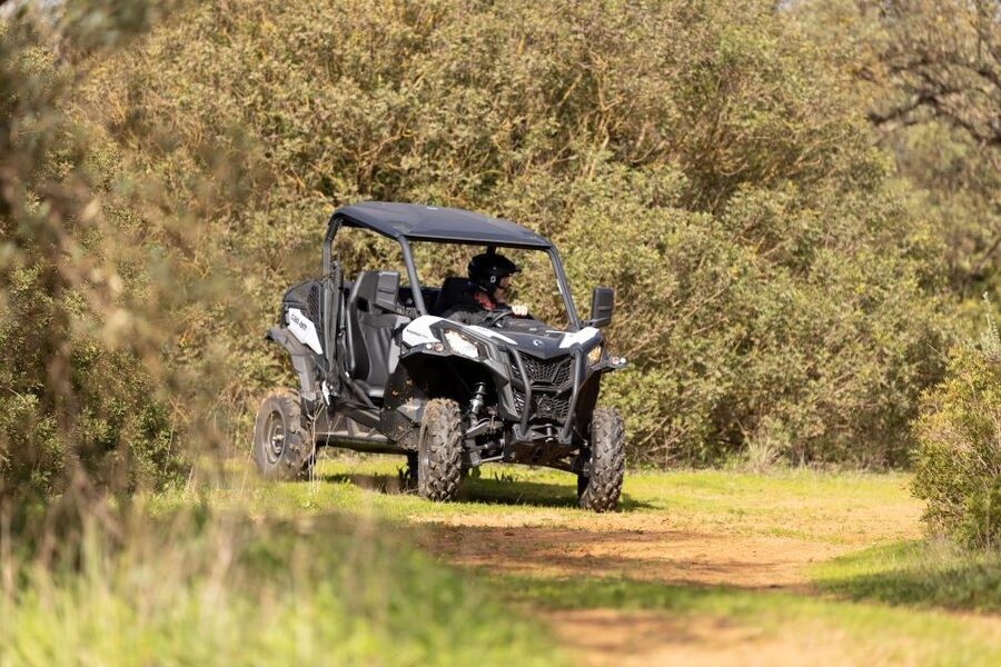 Porto Santo: 180 Minutes Off-Road Buggy Tour - Porto Santo by buggy: why this feels like a real adventure