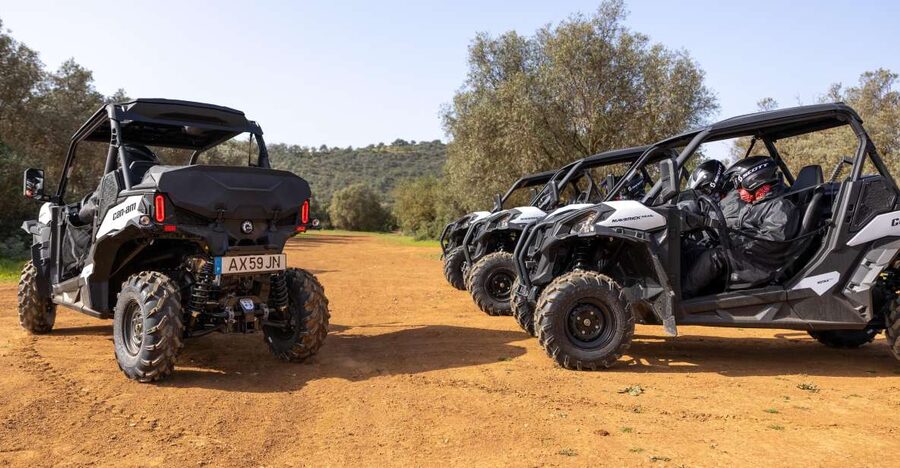 Porto Santo: 180 Minutes Off-Road Buggy Tour - Your 3-hour route, stop by stop