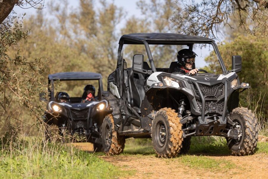 Porto Santo: 180 Minutes Off-Road Buggy Tour - The guide makes a bigger difference than you might think