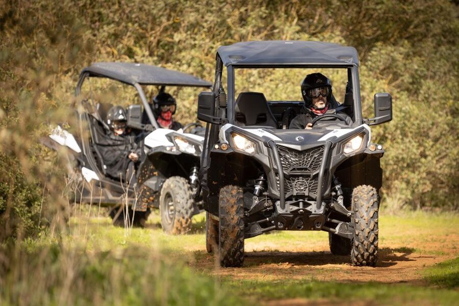 Porto Santo: 180 Minutes Off-Road Buggy Tour - Price and value: what $188 per group really buys you