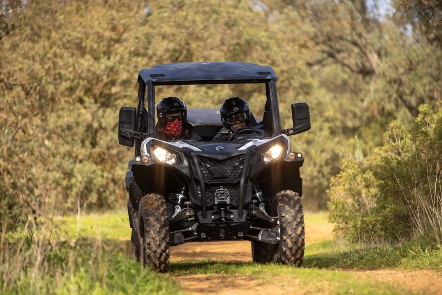 Porto Santo: 180 Minutes Off-Road Buggy Tour - Who should book this buggy tour, and who should skip it