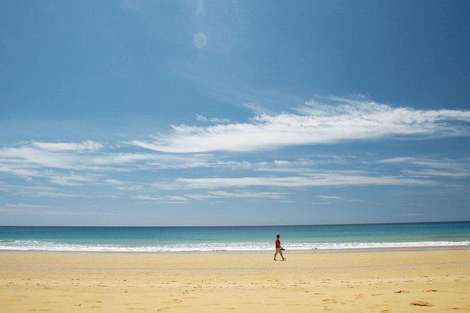 Porto Santo One-Day Cruise and Tour - Who this Porto Santo day trip is perfect for