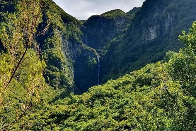 PR6 & PR6.1 25 Fontes & Risco Levada Self-Guided Hiking Rabaçal - Pickup, shared van, and how the ride sets you up