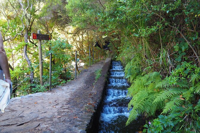 PR6 & PR6.1 25 Fontes & Risco Levada Self-Guided Hiking Rabaçal - Your 5-hour self-guided plan at PR6 and PR6.1