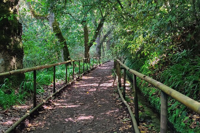PR9 Caldeirão Verde Queimadas Levada Self-Guided Hiking Transfer - Pickup, Schedule, and What Your 8.5 Hours Actually Includes
