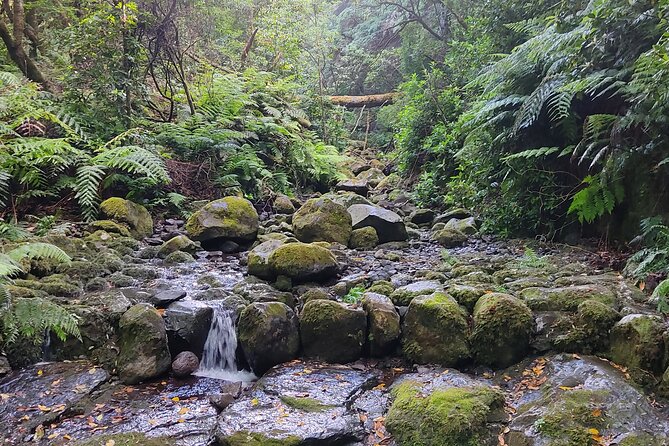 PR9 Caldeirão Verde Queimadas Levada Self-Guided Hiking Transfer - Price, Transfers, and the Small Fees That Surprise People