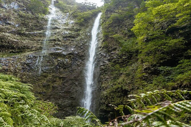 PR9 Caldeirão Verde Queimadas Levada Self-Guided Hiking Transfer - FAQ