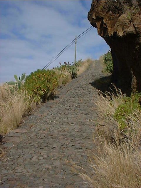 Prazeres: Full-Day Nature Walk - Key things to know before you go