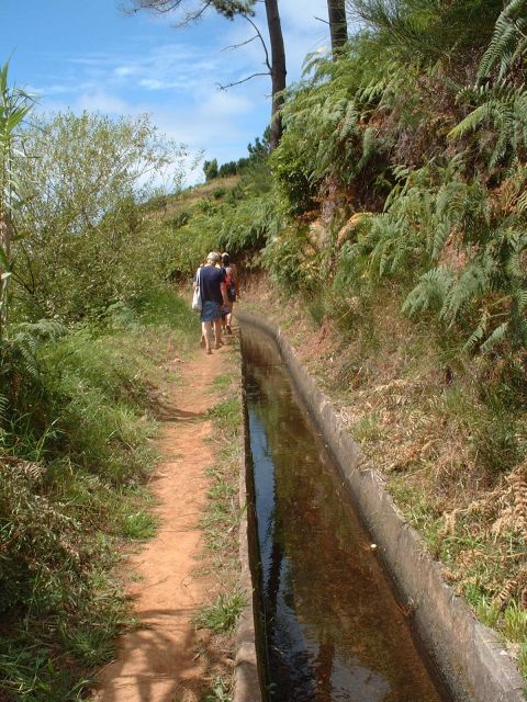 Prazeres: Full-Day Nature Walk - Where the ocean shows up, again and again, in Madeira’s far west