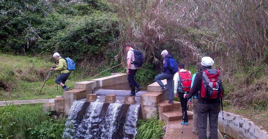 Prazeres: Full-Day Nature Walk - Ponta do Pargo is more than a finish line, it’s the story