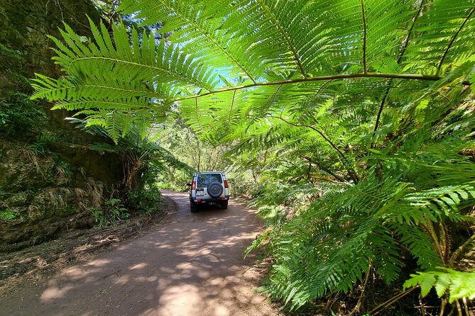 Private 4x4 Jeep Full Day Porto Moniz or Santana - Should You Book This Private Jeep Adventure?