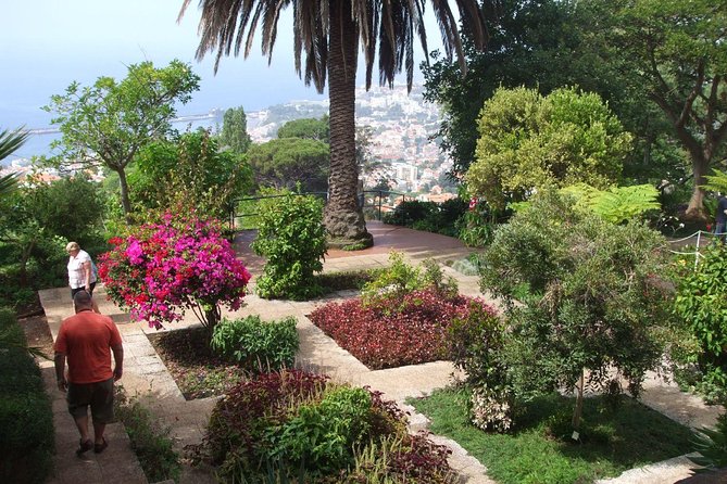 Private Botanical Garden Tour - Tuk-tuk hill climbing in Funchal, without the big-city crowds