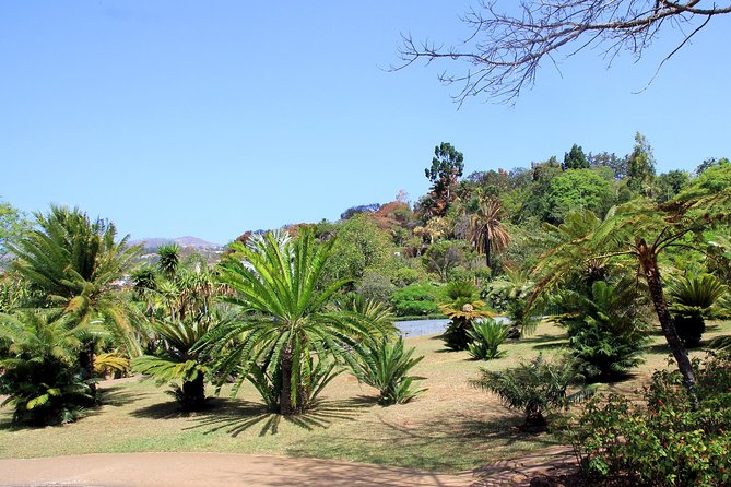 Private Botanical Garden Tour - Getting your bearings at Funchal Central Market