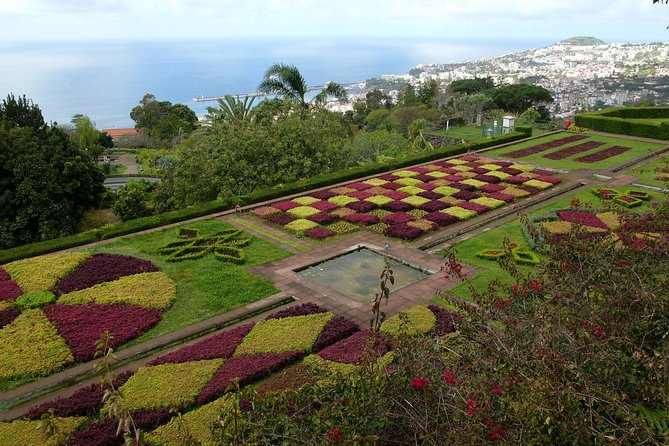 Private Botanical Garden Tour - Madeira Botanical Garden time, and what you should budget for