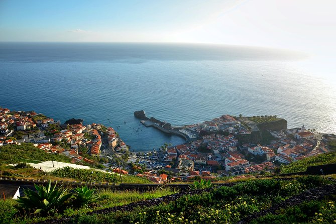 Private Câmara de Lobos Fishing Village Tour - Who this tour is best for (and who should skip it)