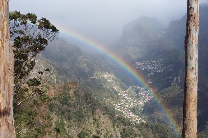 Private & Customizable Safari 4x4 Half-Day Shore Excursion - A half-day Madeira 4x4 safari built for limited time
