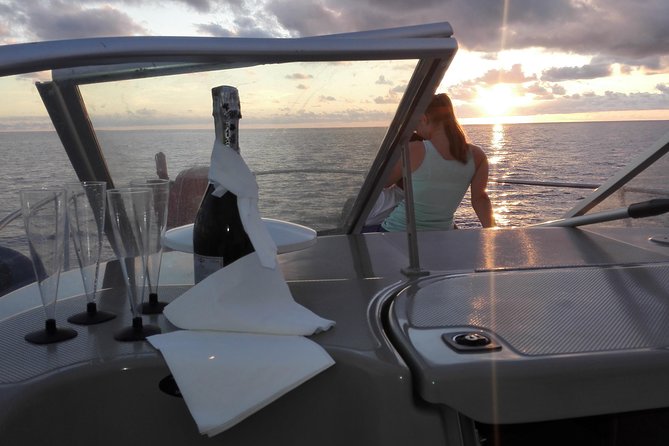Private Dolphin and Whale Watching Tour in Madeira - Key highlights at a glance
