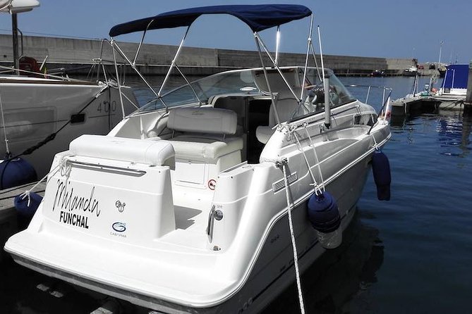 Private Dolphin and Whale Watching Tour in Madeira - The 2.5-Hour Game Plan: Calheta to the Madeira Sea
