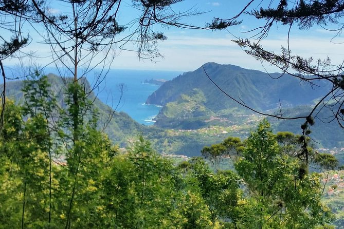Private Full Day Off-Road Tour in Madeira - Ponta do Sol, the southwestern coast, and a plateau above the clouds