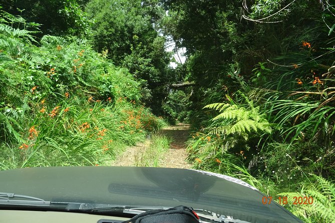 Private Full Day Off-Road Tour in Madeira - Porto Moniz natural swimming pools: lunch, a swim, and real volcanic energy