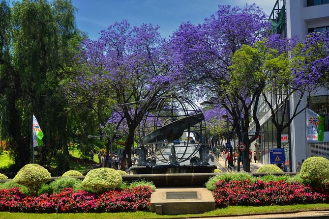 Private Funchal City Tour by Tukxi - Barreirinha and the Socorro Viewpoint, Including the Free Walk