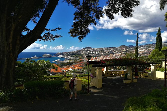 Private Funchal City Tour by Tukxi - Quinta das Cruzes: A XV Manor Museum Stop