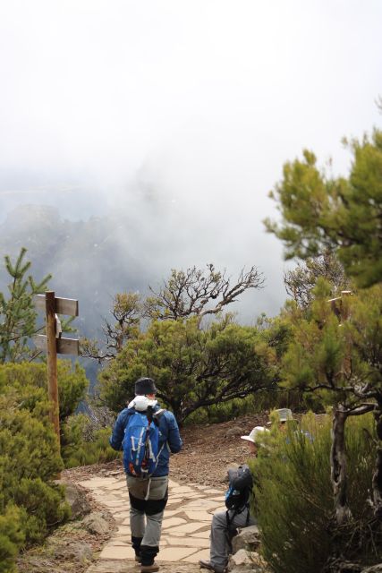 Private - Gastro Hike with Levada Walk and Local Food - Choosing your levada distance: 3.5 km or 5.5 km on real trails