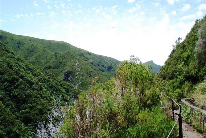 Private Guided Walk Levada 25 Fontes - Why Levada 25 Fontes is such a strong Madeira choice