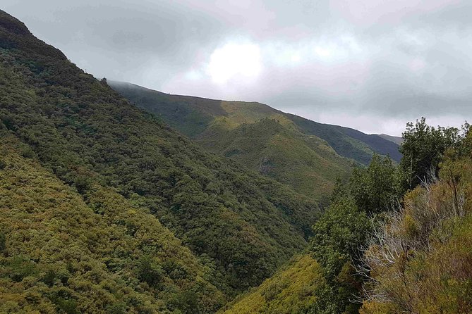 Private Guided Walk Levada 25 Fontes - Nature spotting along the levada, birds and endemic plants