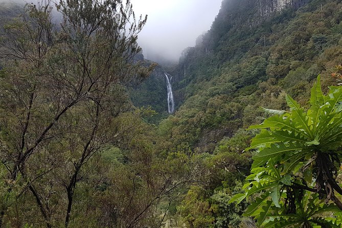 Private Guided Walk Levada 25 Fontes - What to wear and pack for a wet, cool Madeira hike