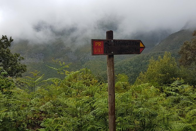 Private Guided Walk Levada 25 Fontes - When this tour is the right fit, and when it is not