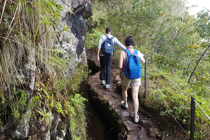 Private Guided Walk Levada Caldeirao Verde - How challenging is it really? Timing, footing, and pacing advice